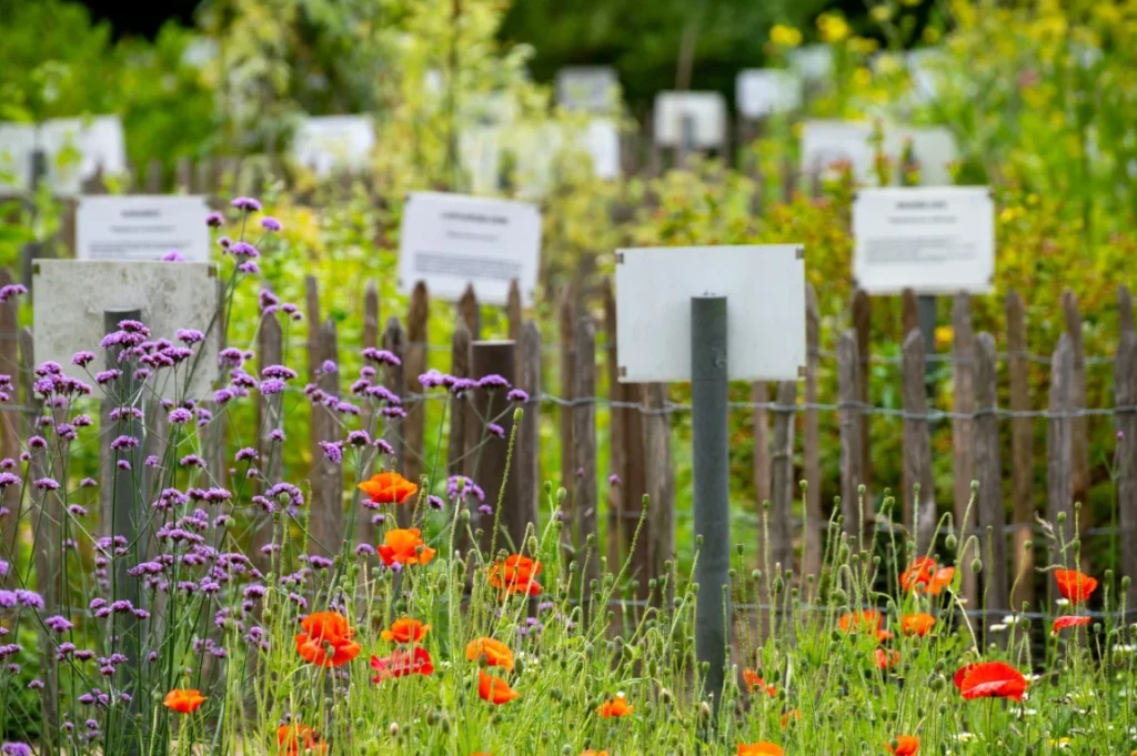 Pollinators - Green Castle Lawn Care, Ogden, Utah